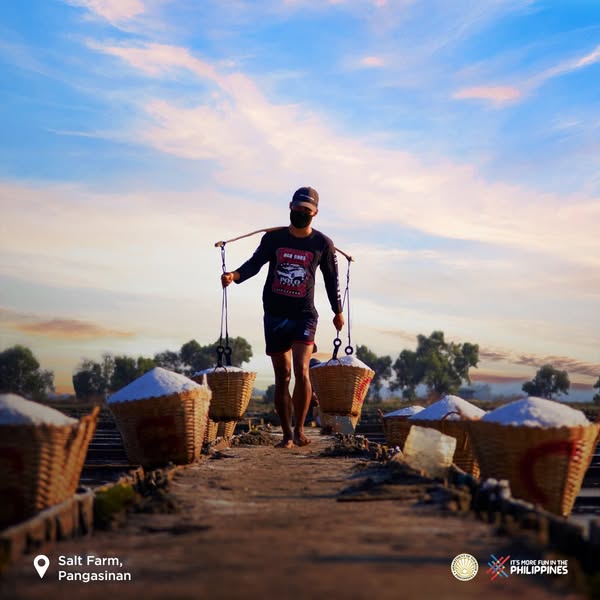 Salt Farmer at Dasol, Pangasinan