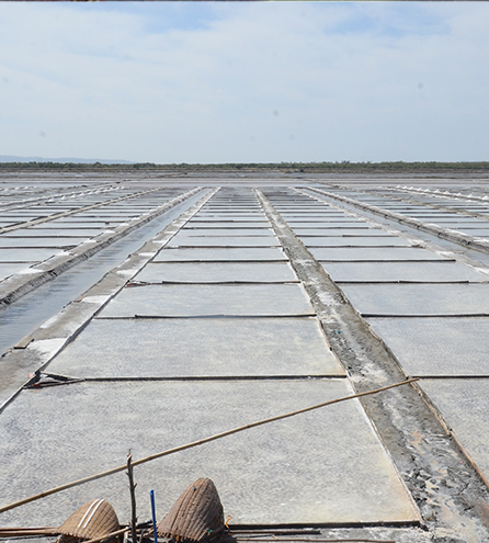 Salt Industry <br> Success Stories